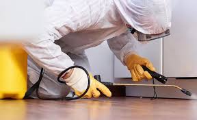 Best Termite Inspection and Treatment  in Sylvania, GA